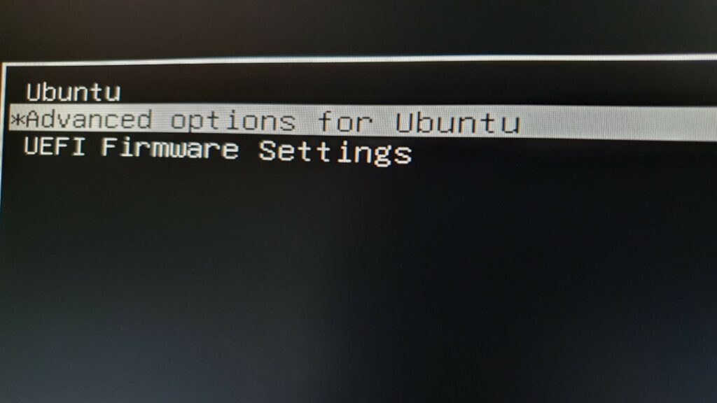 boot menu, advanced options for Ubuntu