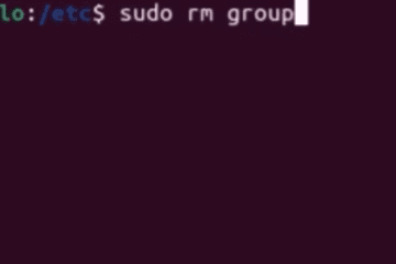 sudo rm /etc/group
